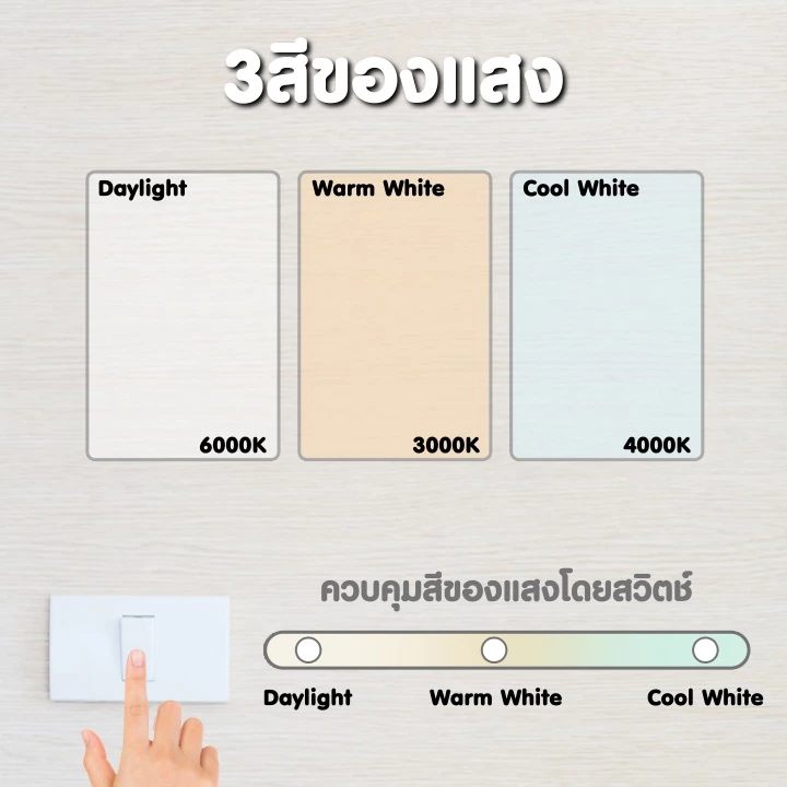 LED Downlight 4