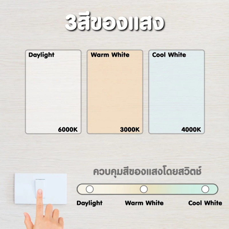 LED Downlight 4