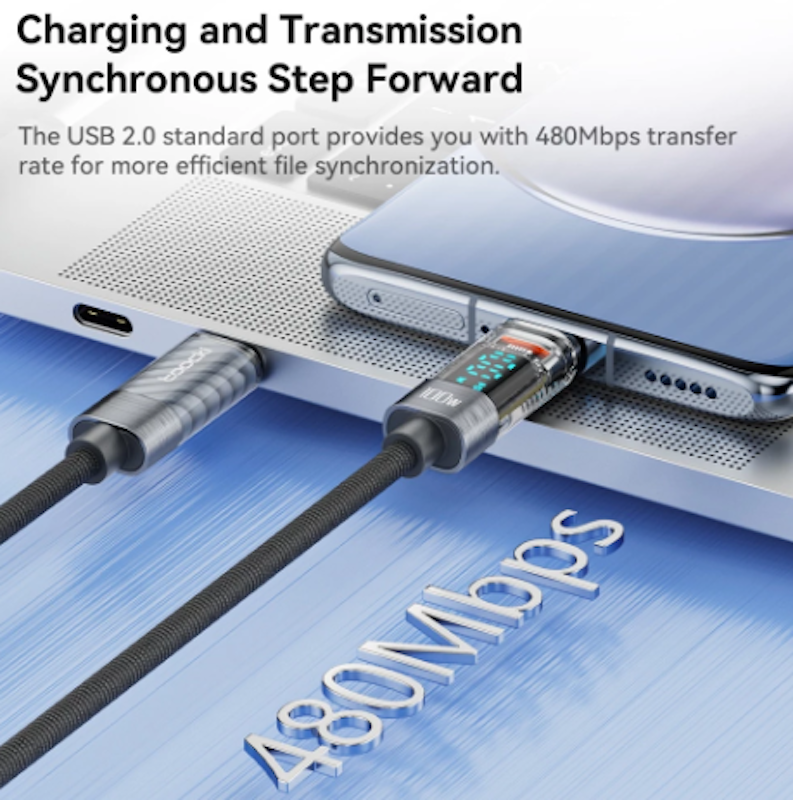 USB Type C to Type C 2