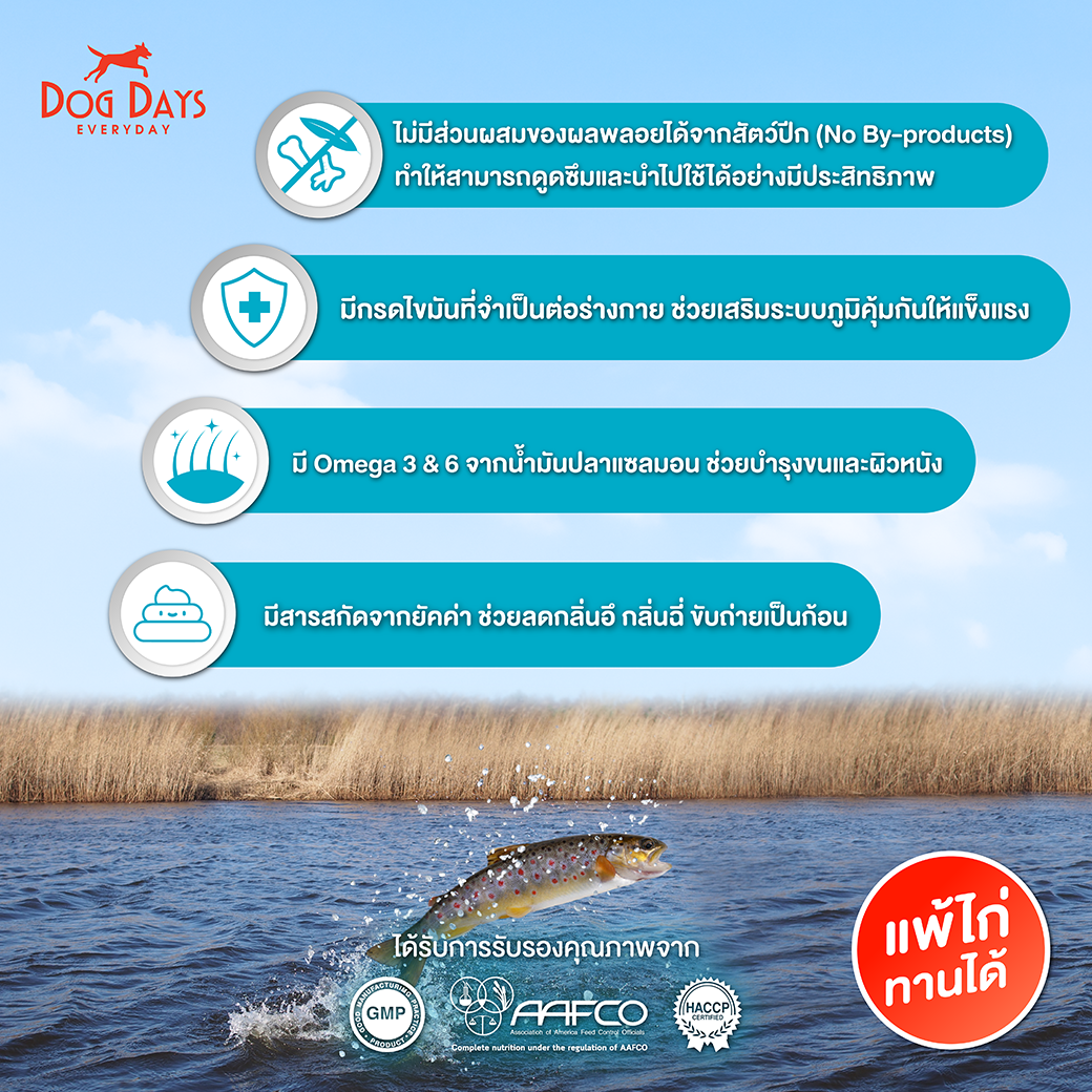 Derma FISH flavor 4