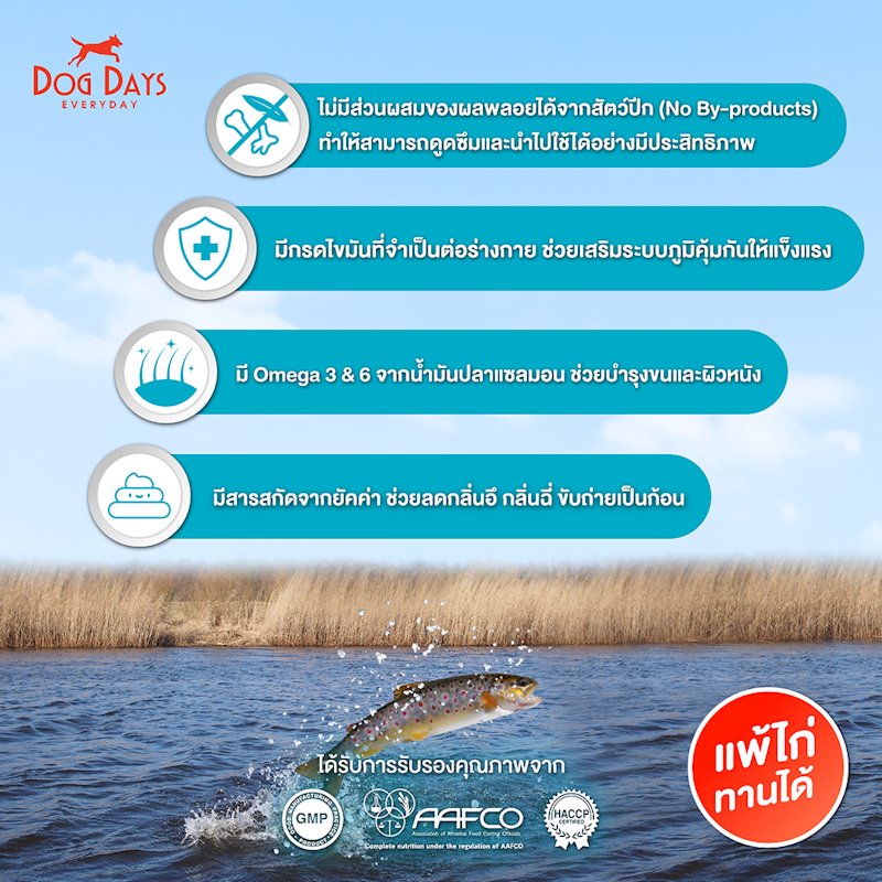 Derma FISH flavor 4