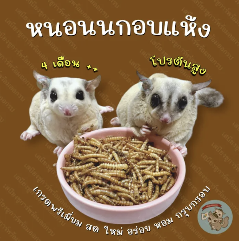 หนอนนกอบแห้ง 2