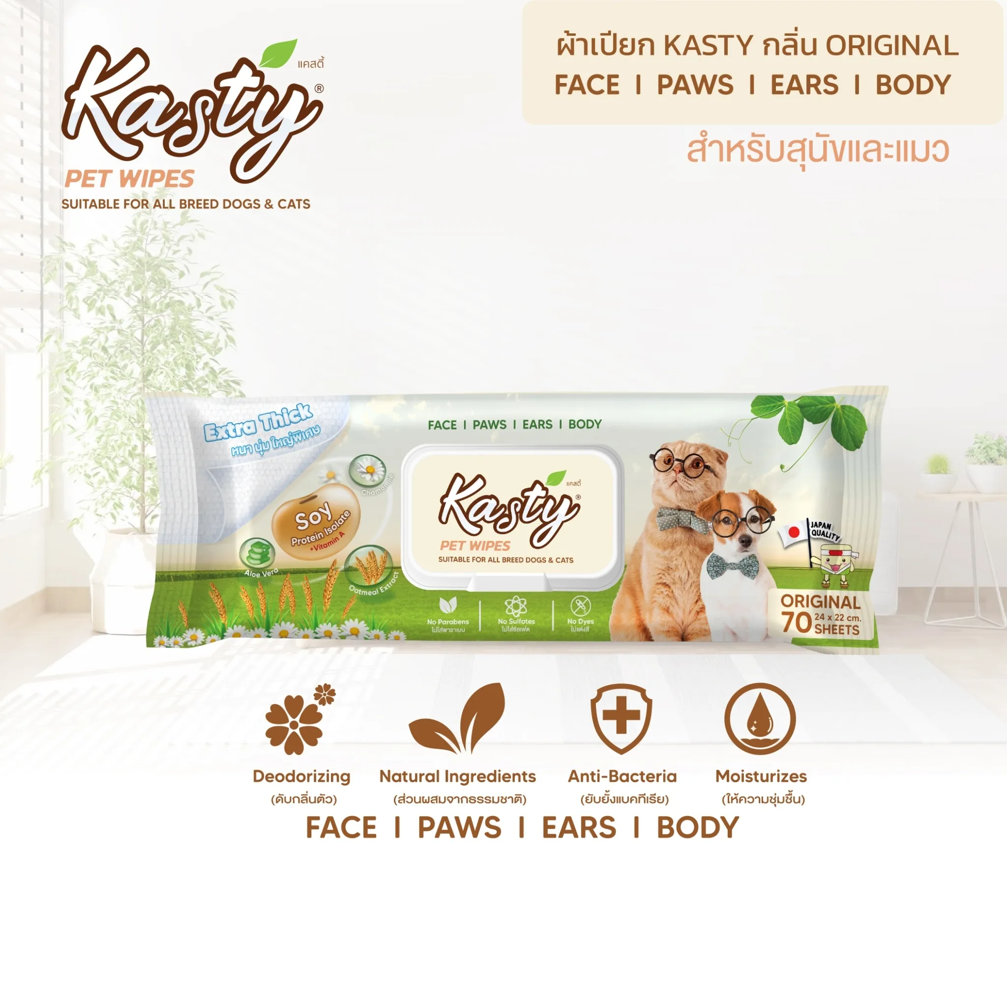 Pet Wipes Original 3