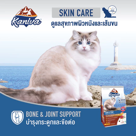 Skin & Coat Formula  2