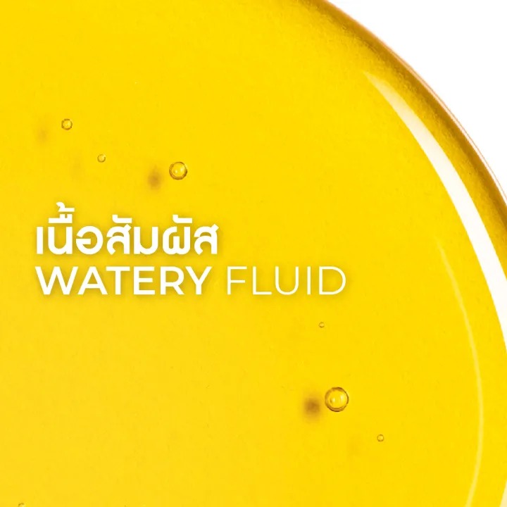 แชมพูขจัดรังแค Anti-Dandruff Shampoo  2