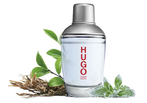 เลือกจากประเภทกลิ่นน้ำหอม Hugo Boss ที่ตรงกับความต้องการ