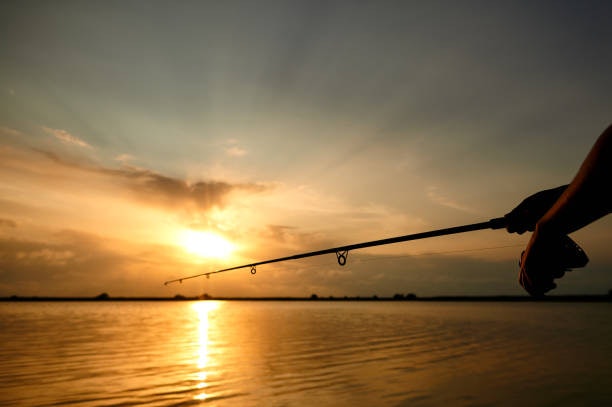 แนะนำให้เลือกแว่นตกปลาเลนส์โพลาไรซ์ (Polarized) สำหรับการตกปลาทุกรูปแบบ