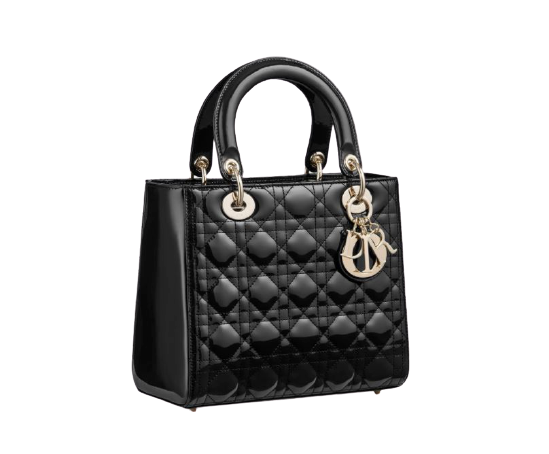 เลือกวัสดุกระเป๋า Dior ให้เหมาะสมกับการใช้งานด้วย