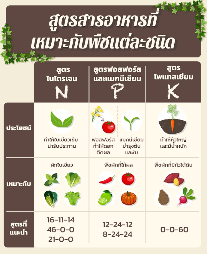 เลือกปุ๋ยผักจากความสมดุลของ N-P-K (ไนโตรเจน ฟอสฟอรัส โพแทสเซียม)