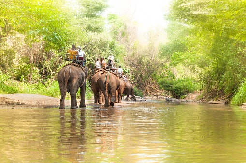 เลือกสถานที่ล่องแพที่สามารถทำกิจกรรมอื่น ๆ ได้