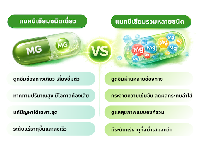 ทำไมการทานแมกนีเซียมรวมหลากหลายชนิดถึงดีกว่าชนิดเดี่ยว