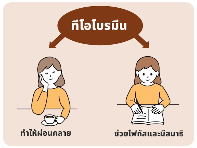 สารทีโอโบรมีน ช่วยให้ผ่อนคลาย และมีสมาธิ