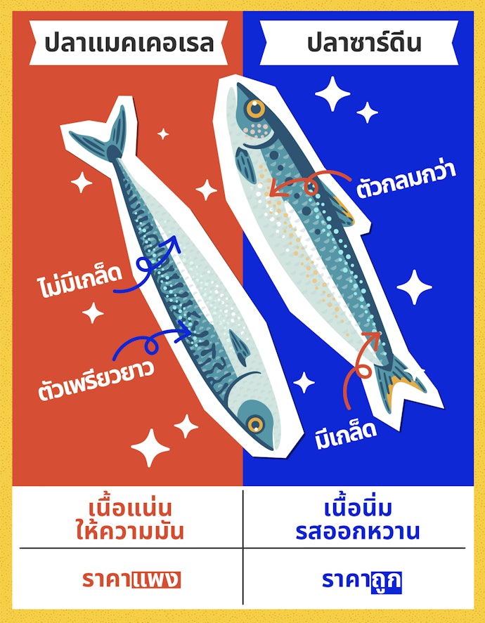 เลือกปลากระป๋องจากชนิดของปลา