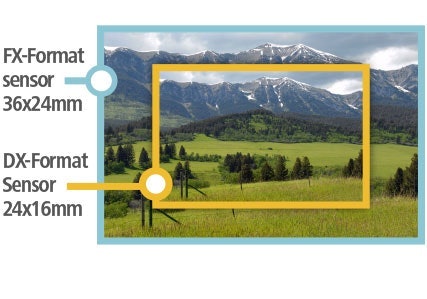 พิจารณากล้อง Nikon จากขนาดเซนเซอร์ที่เหมาะกับการถ่ายภาพ