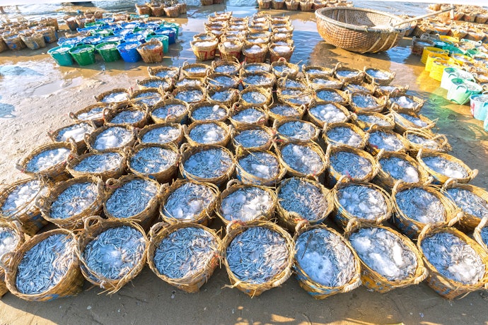 แนะนำให้เลือกน้ำปลาคีโตแท้ที่หมักบ่มแบบธรรมชาติ 12 - 24 เดือนขึ้นไป
