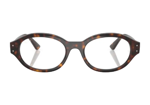 เลือกจากวัสดุที่ใช้ทำขาแว่นตา Rayban