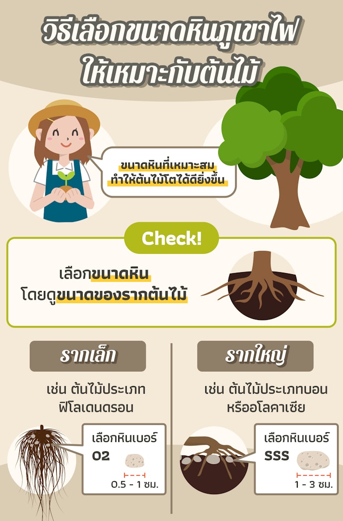 เลือกขนาดเบอร์ของหินภูเขาไฟให้เหมาะสมกับการใช้งาน