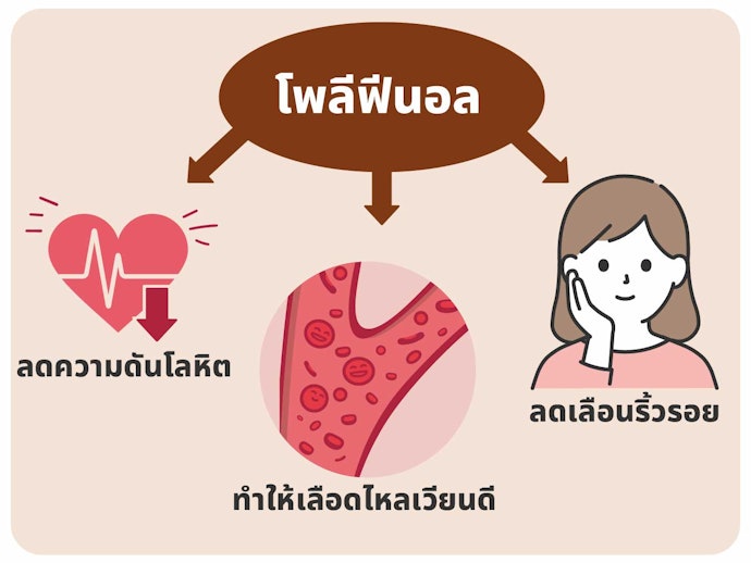 สารโพลีฟีนอล ช่วยต้านอนุมูลอิสระ