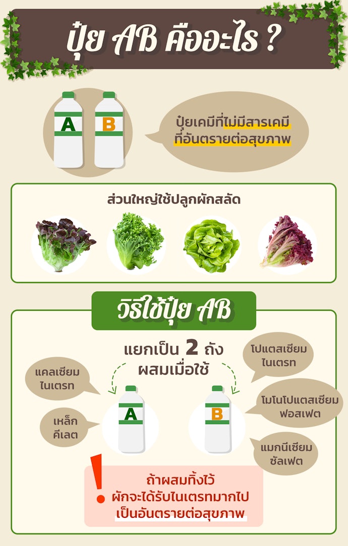 เลือกปุ๋ย AB สำหรับผักที่ปลูกแบบไฮโดรโปนิกส์