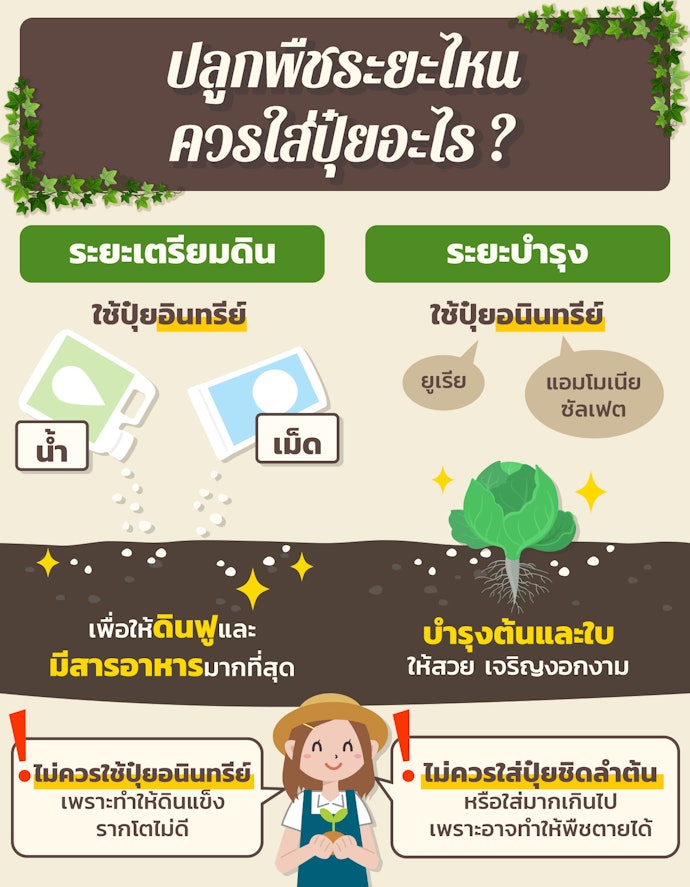 เลือกจากประเภทของปุ๋ยผัก