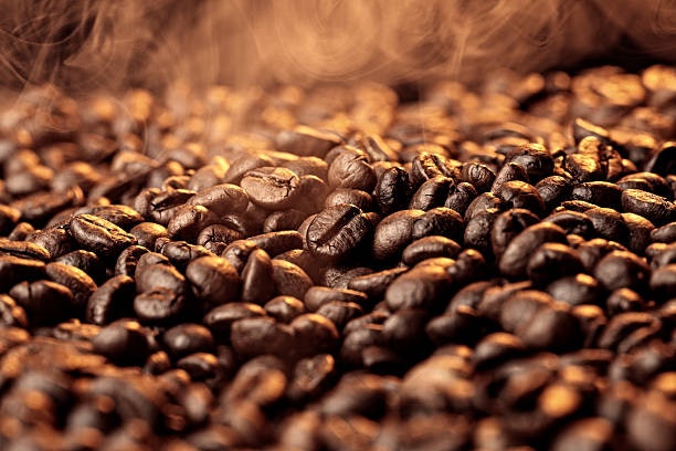 เลือกจากสายพันธุ์เมล็ดกาแฟหลัก โรบัสต้าหรืออาราบิก้า