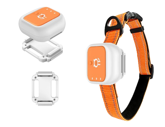 ตรวจสอบฟีเจอร์เสริม GPS แมวเพื่อสนับสนุนการใช้งาน