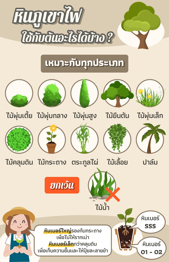 เลือกหินภูเขาไฟให้เหมาะกับประเภทต้นไม้