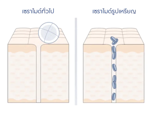 เลือกครีมเซราไมด์ที่มีเทคโนโลยีเสริมเพิ่มเติม