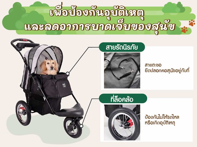 ตรวจสอบฟังก์ชันความปลอดภัยของรถเข็นสุนัข