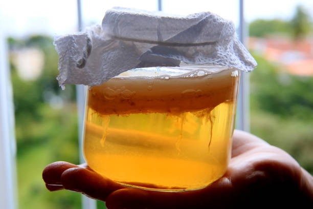 เลือกคอมบูชาที่ได้จากกระบวนการธรรมชาติ ไม่เติมน้ำตาลหรือสารกันเสียเพื่อประสิทธิภาพสูงสุด