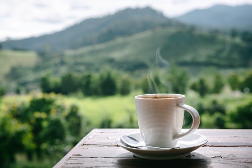 กาแฟขี้ชะมดเชียงใหม่