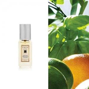 “Citrus Collection” เหมาะใช้ในวันที่ต้องพบปะผู้คน