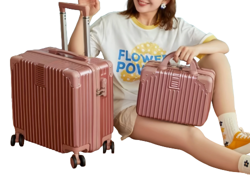 สำหรับผู้ที่ต้องการความมั่นใจในความปลอดภัยของสัมภาระ เลือกแบบ Hard Case