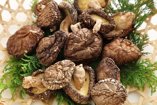เลือกชิตาเกะดาชิ (Shiitake Dashi) เพิ่มสีสันให้กับน้ำซุป พร้อมกลิ่นเห็ดหอม