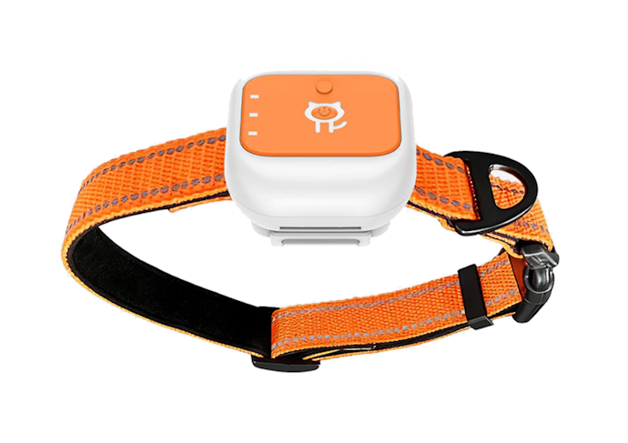 สำหรับเลี้ยงแมวระบบเปิด เลือก GPS แมวแบบใส่ซิม