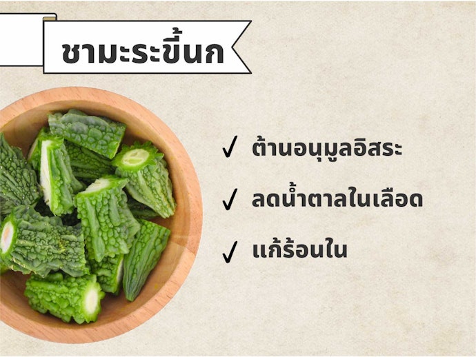 ชามะระขี้นก : ลดน้ำตาลในเลือด และรักษาระดับความดันเลือดให้เป็นปกติ