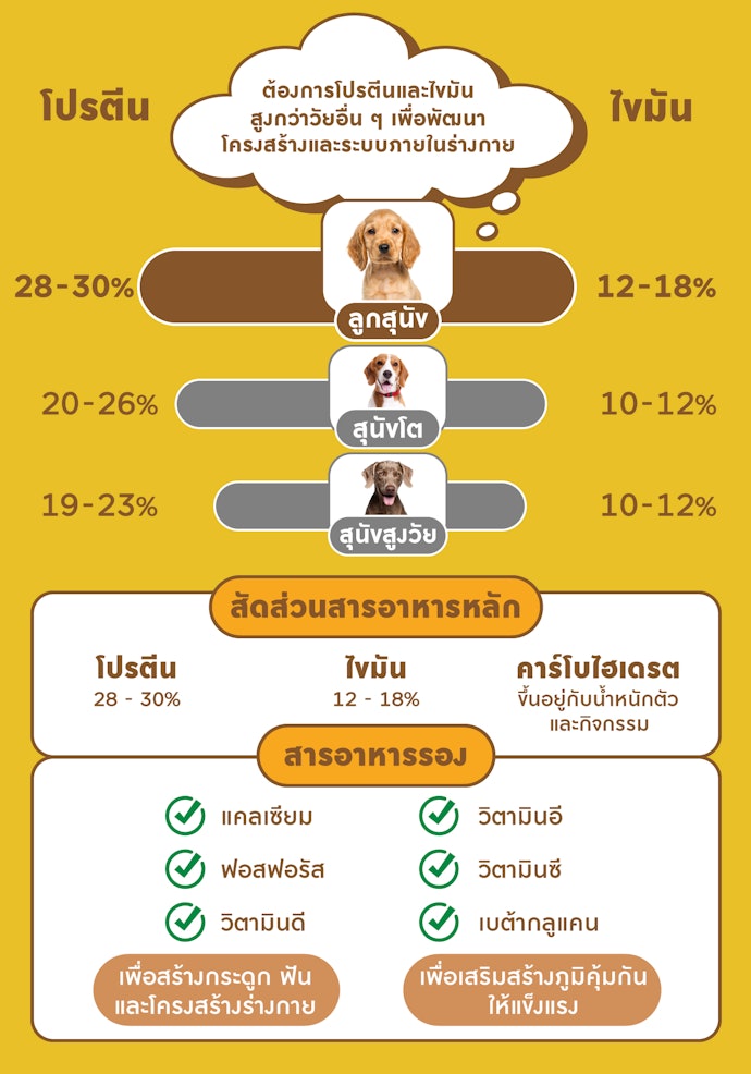ลูกสุนัข เน้นสูตรที่มีสัดส่วนโปรตีนสูงที่ 28 - 30% และไขมันสูงที่ 12 - 18%