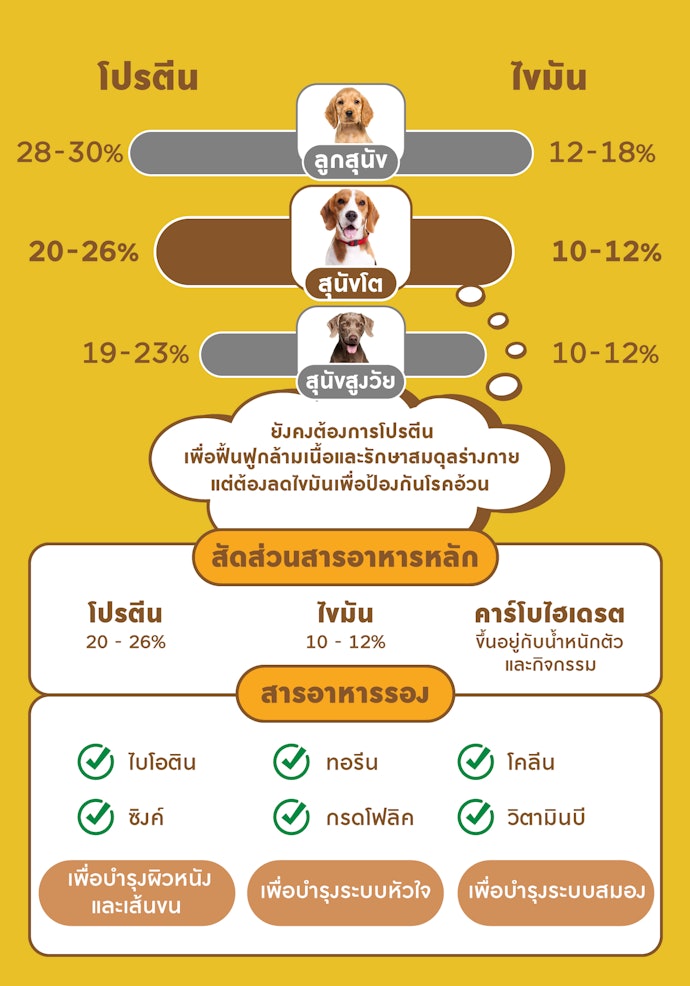 สุนัขสูงวัย เลือกสูตรที่สัดส่วนโปรตีนและไขมันต่ำ โดยแนะนำโปรตีน 19 - 23% ไขมัน 10 - 12%