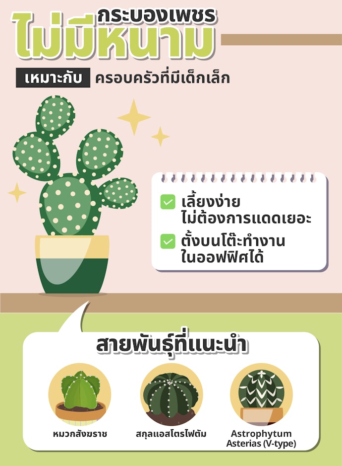 สายพันธุ์ที่ไม่มีหนาม