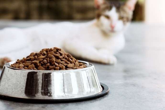 สำหรับแมวสูงอายุ เลือกอาหารแมว Grain Free สูตรแมวสูงอายุ