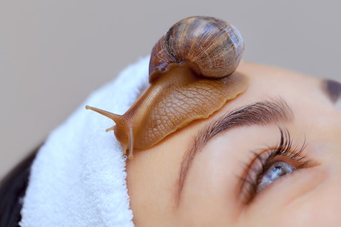 Snail Mucin : สมานรอยแผลเป็นและลดเลือนริ้วรอยแห่งวัย