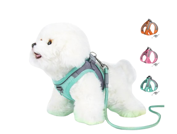 ใส่สบาย ลดแรงกดที่คอ เหมาะกับพันธุ์เล็ก เลือกแบบสายรัดอก Harness
