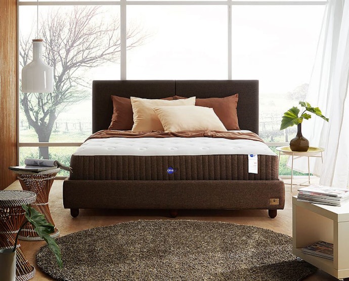 ที่นอน Omazz : Contempo™