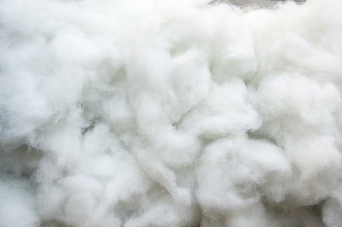ฝ้าย (Cotton) อ่อนโยนต่อผิวแพ้ง่าย