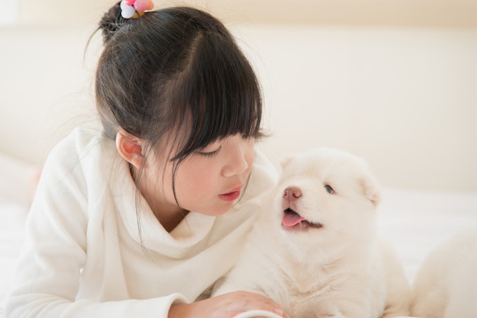 ลูกสุนัขวัย 2 เดือนขึ้นไป เลือกวิตามินสุนัขที่ช่วยสนับสนุนการเจริญเติบโต