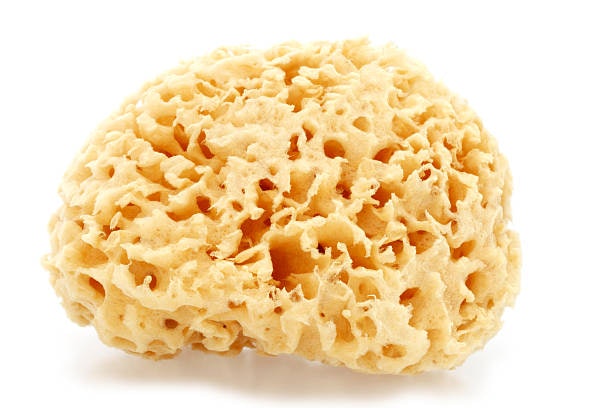 สำหรับเด็กอายุ 4 - 12 เดือน เลือกแบบฟองน้ำธรรมชาติ