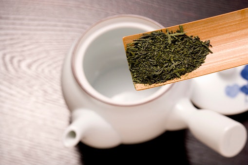 เซนฉะ (Sencha) ชาเขียวรสชาติติดฝาด