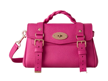 รุ่น Alexa กระเป๋า IT Bag ระดับไอคอน