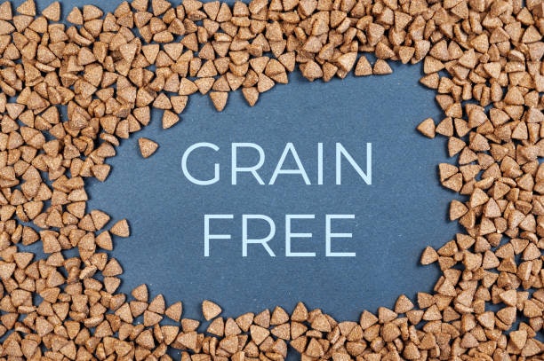 เลือกอาหารเกรด Super Premium / Holistic (Grain Free) สำหรับแมวสูงวัยที่มีปัญหาการย่อย