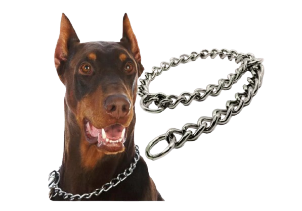 เน้นเสริมวินัย เหมาะกับพันธุ์ใหญ่เท่านั้น เลือกปลอกคอสุนัขใหญ่แบบ Choke Chain
